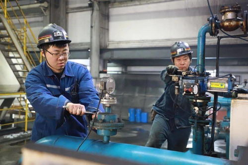 郭屯煤礦多措并舉提升煤質(zhì)含金量，選煤設(shè)備助力增效